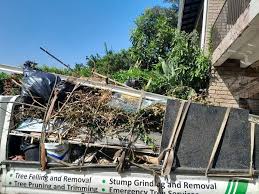 Best Hoarding Cleanup  in Jasmine Estates, FL