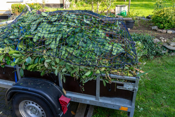 Professional Junk Removal Services in Jasmine Estates, FL